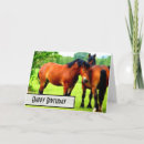 Search for draft horse Horses