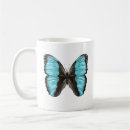 Search for morpho butterfly mugs Entomology