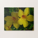 Search for tropical puzzles Yellow