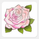Search for rose drawing stickers Vintage