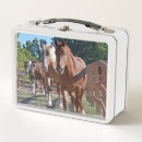 Search for horse lunch boxes Farm