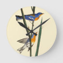 Search for warbler art John james audubon