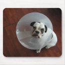 Search for sweet dog mousepads Funny