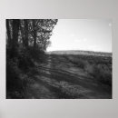 Search for black and white tree posters Peaceful