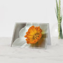 Search for narcissus cards Minimalist
