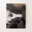 Search for collie puzzles Cute