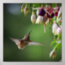 Search for hummingbird art Flower