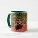 Search for red moose mugs Antlers