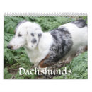 Search for dachshund calendars Dog