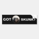 Search for skunk bumper stickers Stink