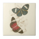 Search for butterfly tiles Colourful