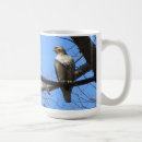Search for young bird mugs Bird of prey