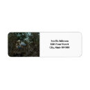 Search for tree of life return address labels Animal