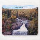 Search for beaver electronics Nature