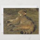 Search for felis cards Feline