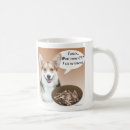 Search for corgi thanksgiving Dog