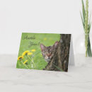 Search for tabby cat birthday cards Humour