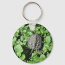Search for baby turtle round key rings Nature