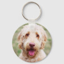 Search for goldendoodle key rings Animal