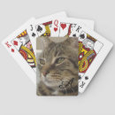 Search for cat playing cards Adorable