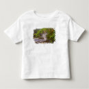 Search for east river tshirts Usa