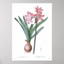 Search for belladonna posters Floral