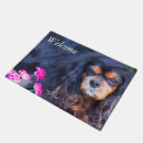 Search for spaniel doormats Pet