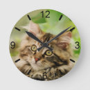 Search for maine coon cat art Kitten