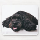 Search for cocker mousepads Black