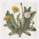 Search for engraving stickers Botanical