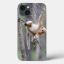 Search for nose cases Wildlife