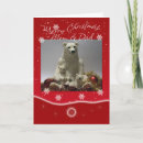 Search for papa bear cards Polar