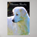 Search for sheepdogs posters Puppy