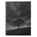 Search for lone tree Black and white