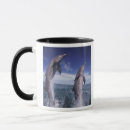 Search for bottlenose dolphin mugs Aquatic