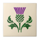 Search for scottish thistle coasters Scotch