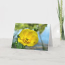 Search for buttercup cards Ranunculus