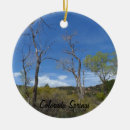 Search for colorado christmas tree decorations Landscape