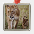 Search for african safari christmas tree decorations Nature