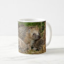 Search for hedgehog baby mugs Young animal