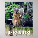 Search for squirrel posters Funny