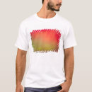 Search for northern lights tshirts Astronomy