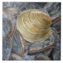 Search for clam tiles Shells