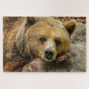 Search for brown bear puzzles Grizzly