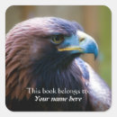 Search for golden eagle stickers Bird