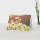 Search for forgotten cards Miscarriage