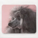 Search for poodle photography Nature