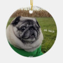 Search for instagram christmas tree decorations Dog