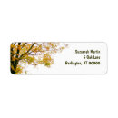 Search for tree leaves return address labels Foliage