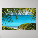 Search for crystal clear posters Ocean